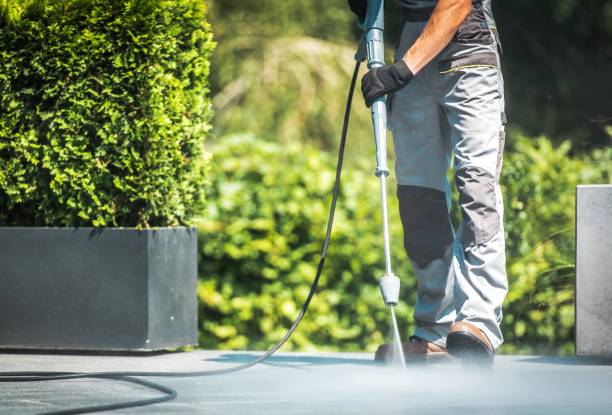 Best House Exterior Washing  in Wasco, CA